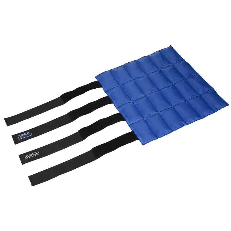 LeMieux Arctic Ice Boots - Blue-1